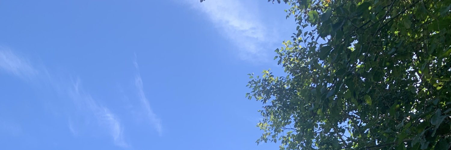 i hate myself a lot banner