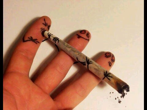 _weedforever's profile banner image