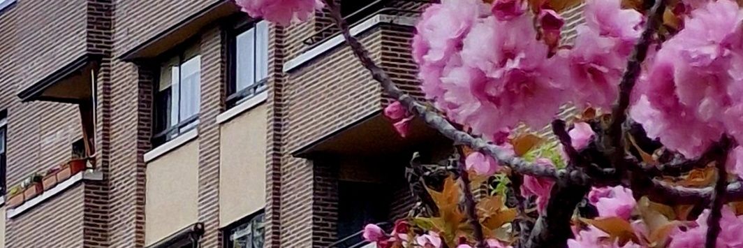 quintode13's profile banner image
