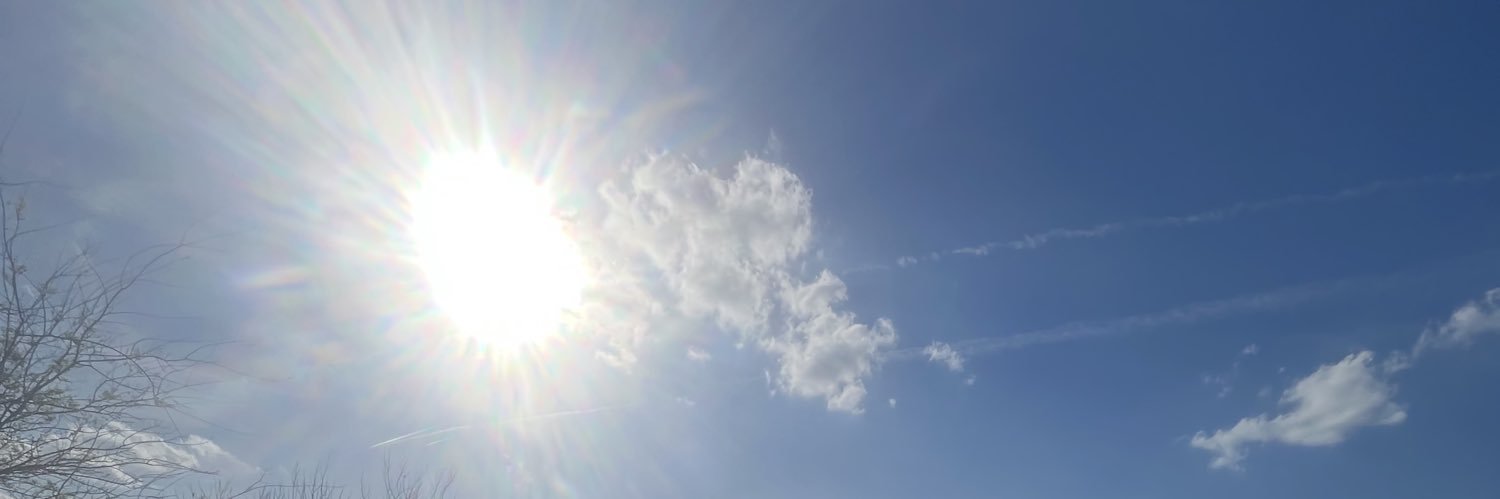 alexxis* banner