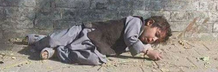 #FreePalestine🇵🇸💗🇵🇸 banner