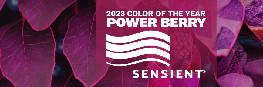 SensientColorNA's profile banner image