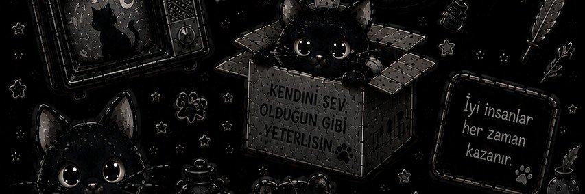 ngokceozsoy's profile banner image