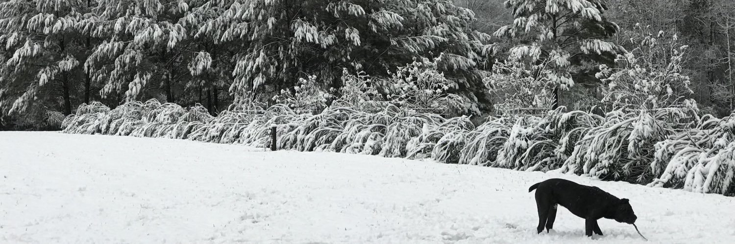 ThaRealWebb's profile banner image