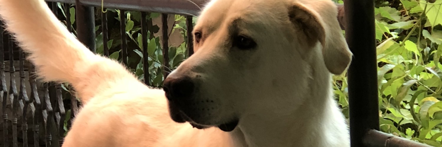 ozerozen66's profile banner image