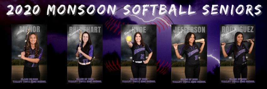 VVHS_Softball's profile banner image