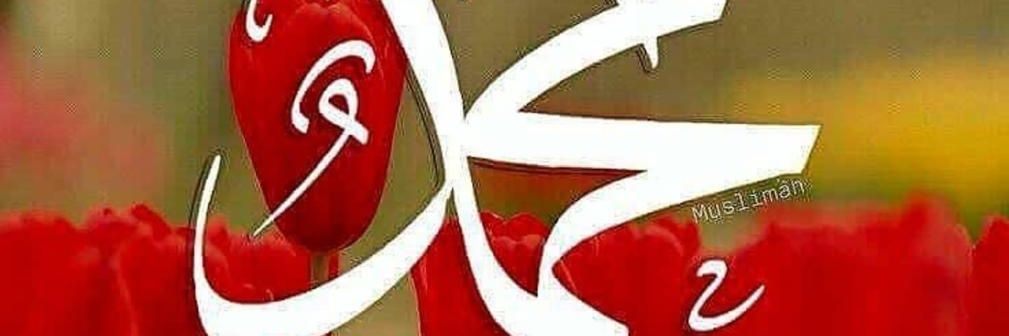 ail_jaber's profile banner image