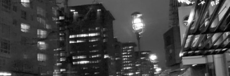 ✊🏿Zayan Waleed (BLM) banner