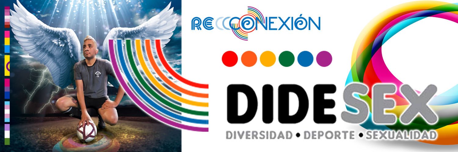 DIDESEX banner