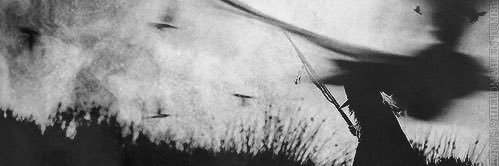 krempty's profile banner image