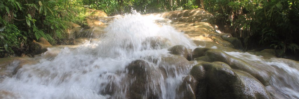 Joan T Wright banner