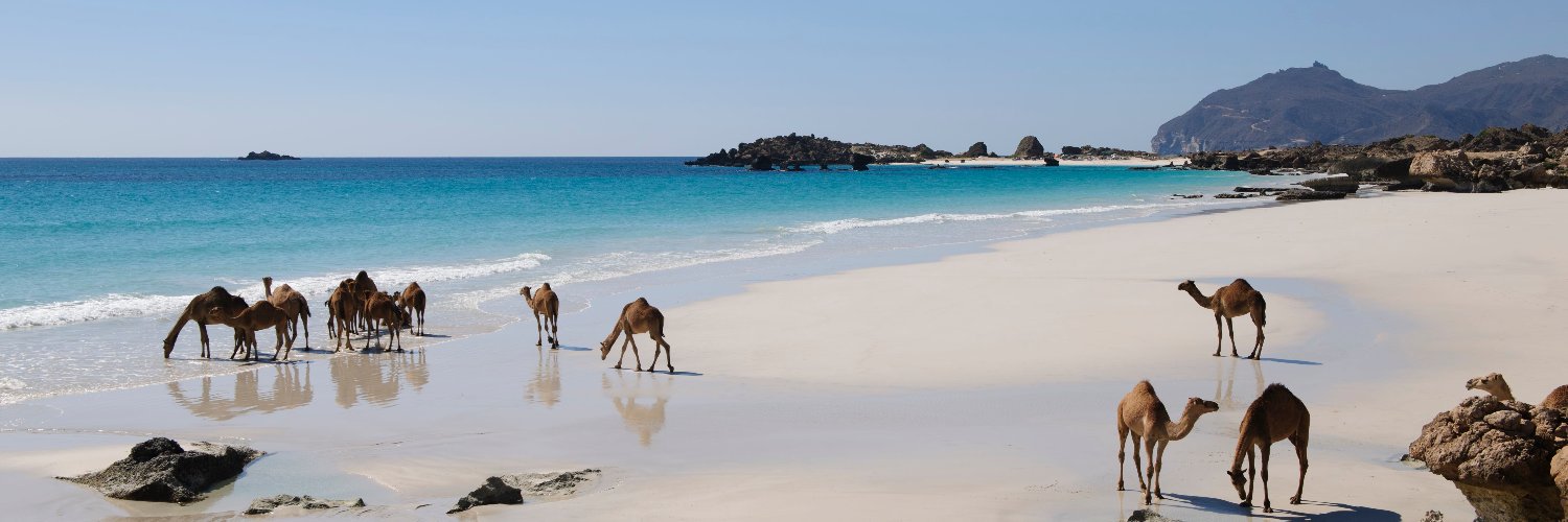 Nomad Publishing banner