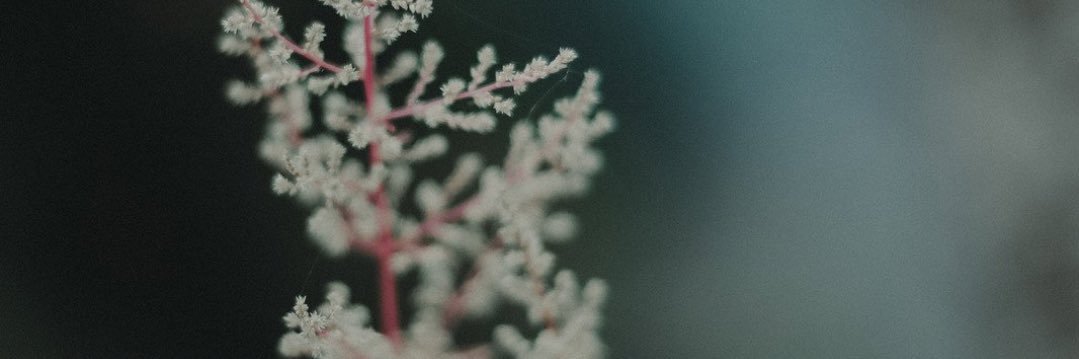 brough_psych's profile banner image