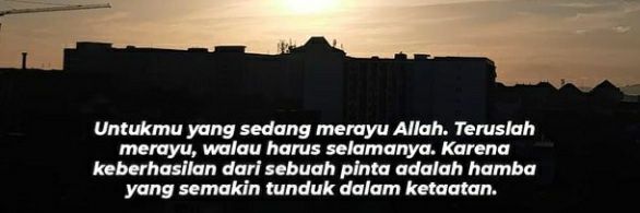 Burung Pak Asep banner