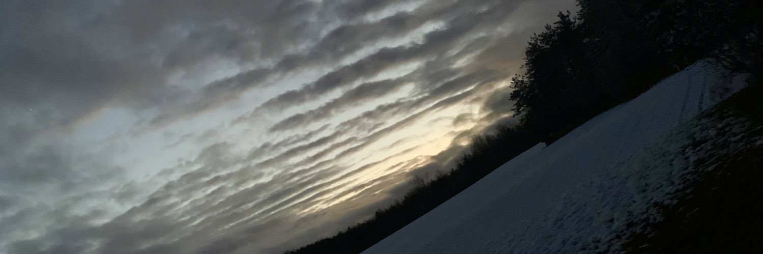 Newte88's profile banner image