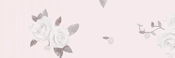 りんご🍎リトリン必読 banner