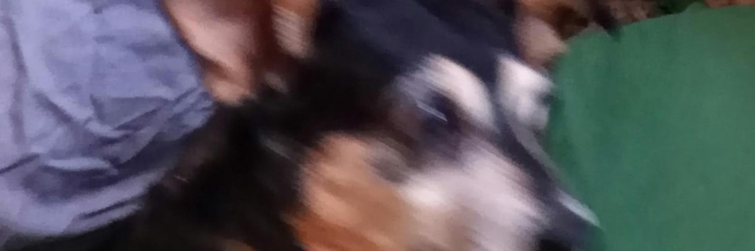 cocausin's profile banner image