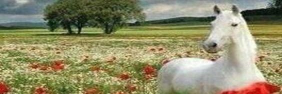 I_am_Darwong's profile banner image