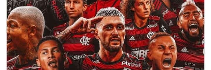 Amigo do interior banner