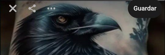 Federico6943's profile banner image