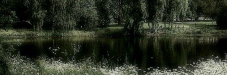 𝒜𝒷𝓇𝒾𝓁🍒🥚🐚🦊🦭🎱🦢🫒☁️💝🕷🍬🥨🐰🍚🧸☕️ banner