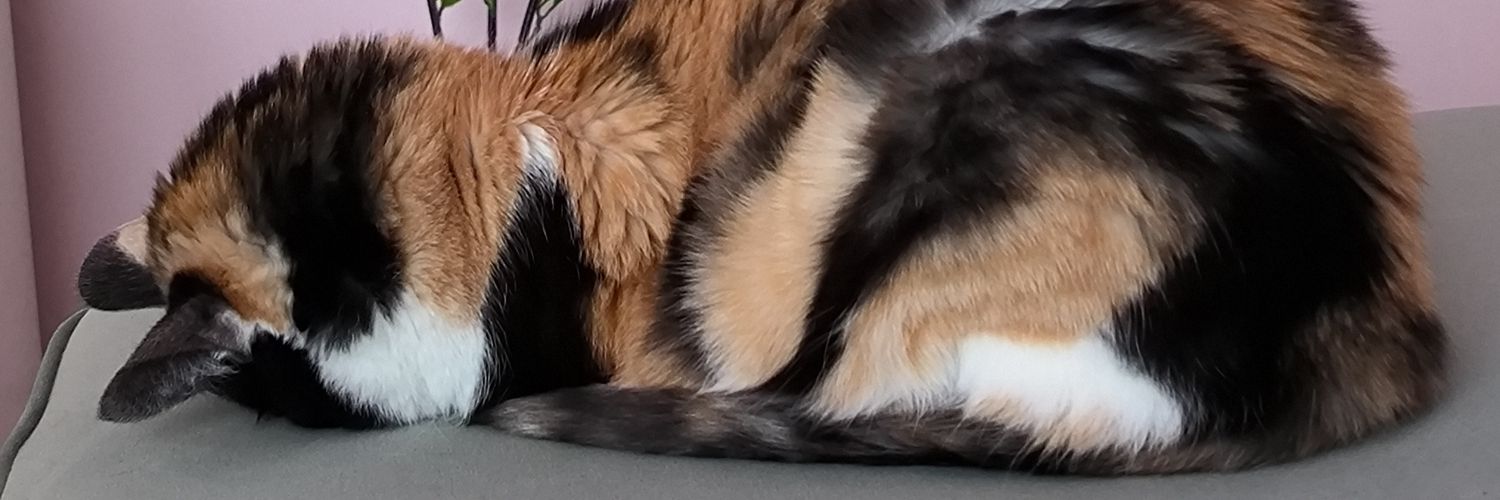 margotdeb3's profile banner image
