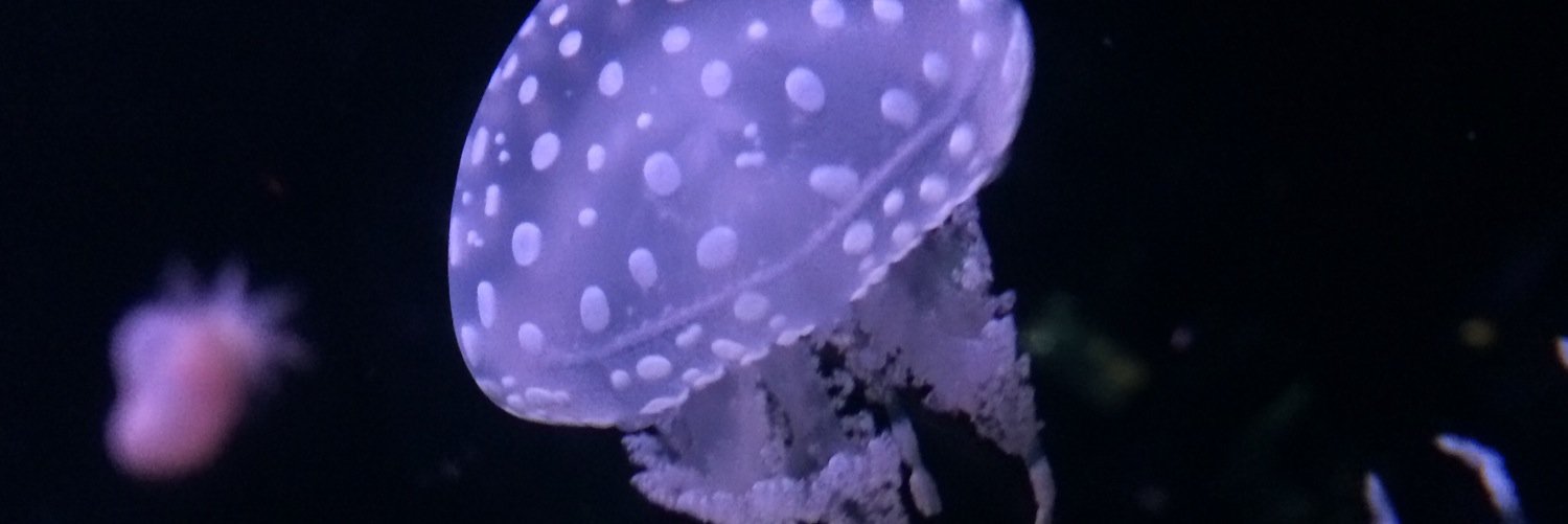 wsrnid15's profile banner image