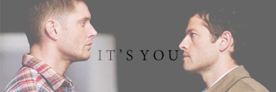 Koneko_Gin's profile banner image