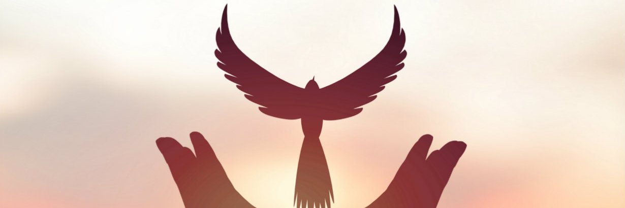 Victor Alberto banner