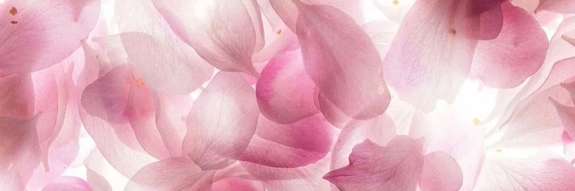 ppinkbella's profile banner image