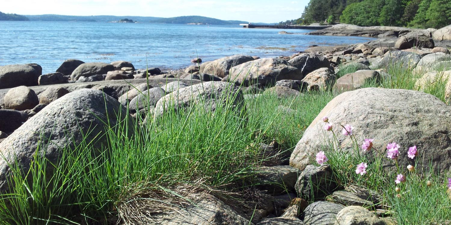 Ellen J Weist banner
