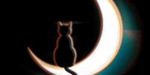 OriHada's profile banner image