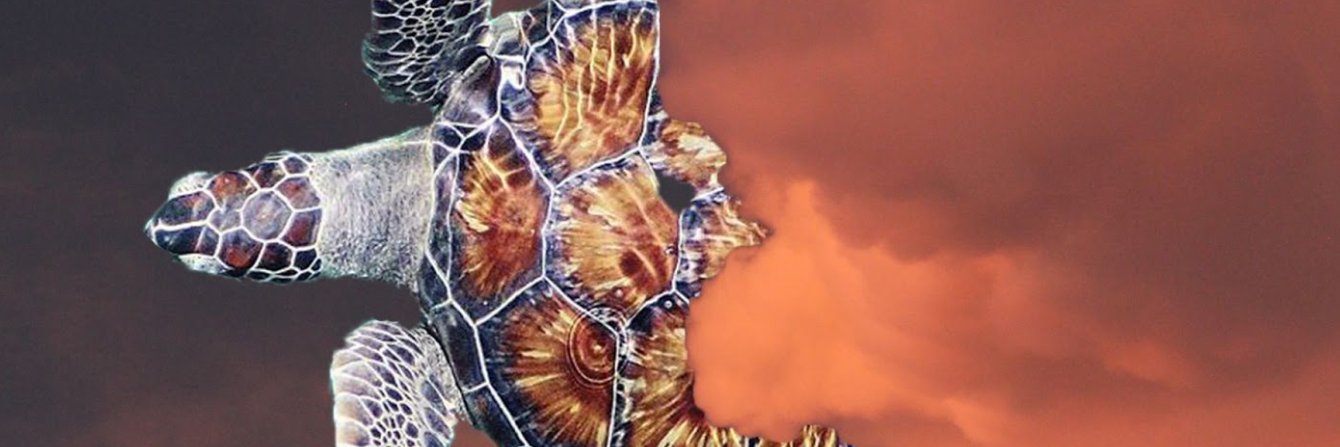 jpostelnik02's profile banner image