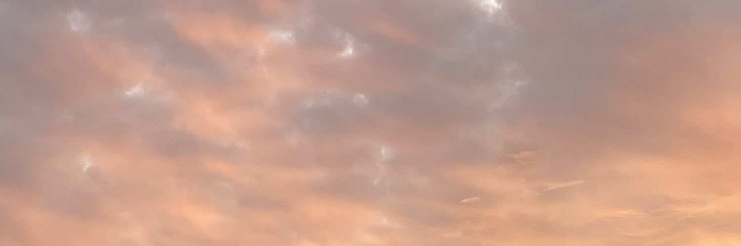 el_lfvrF1's profile banner image