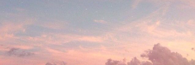🌸 banner