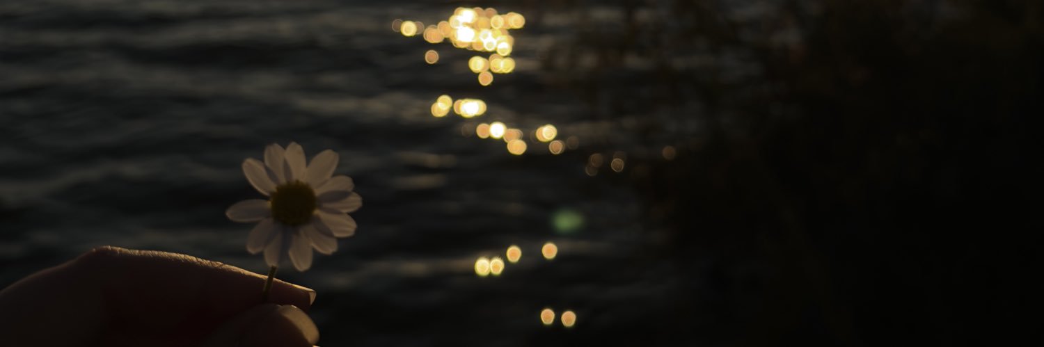 tugceacrr's profile banner image