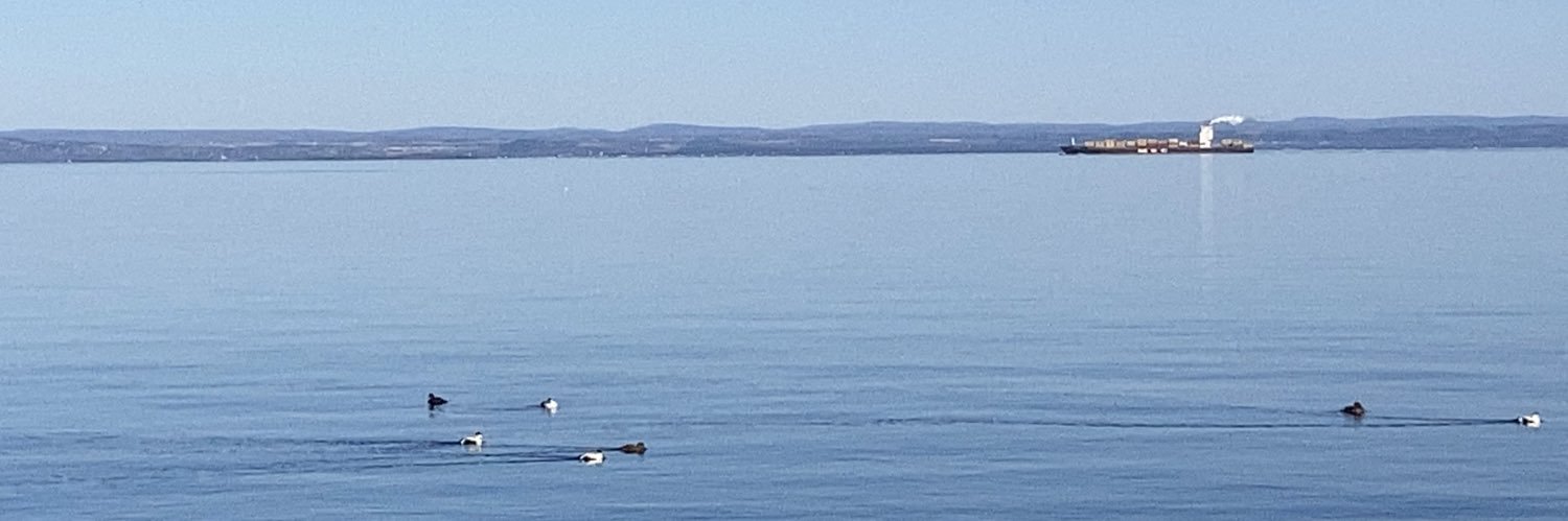 jflinteau's profile banner image