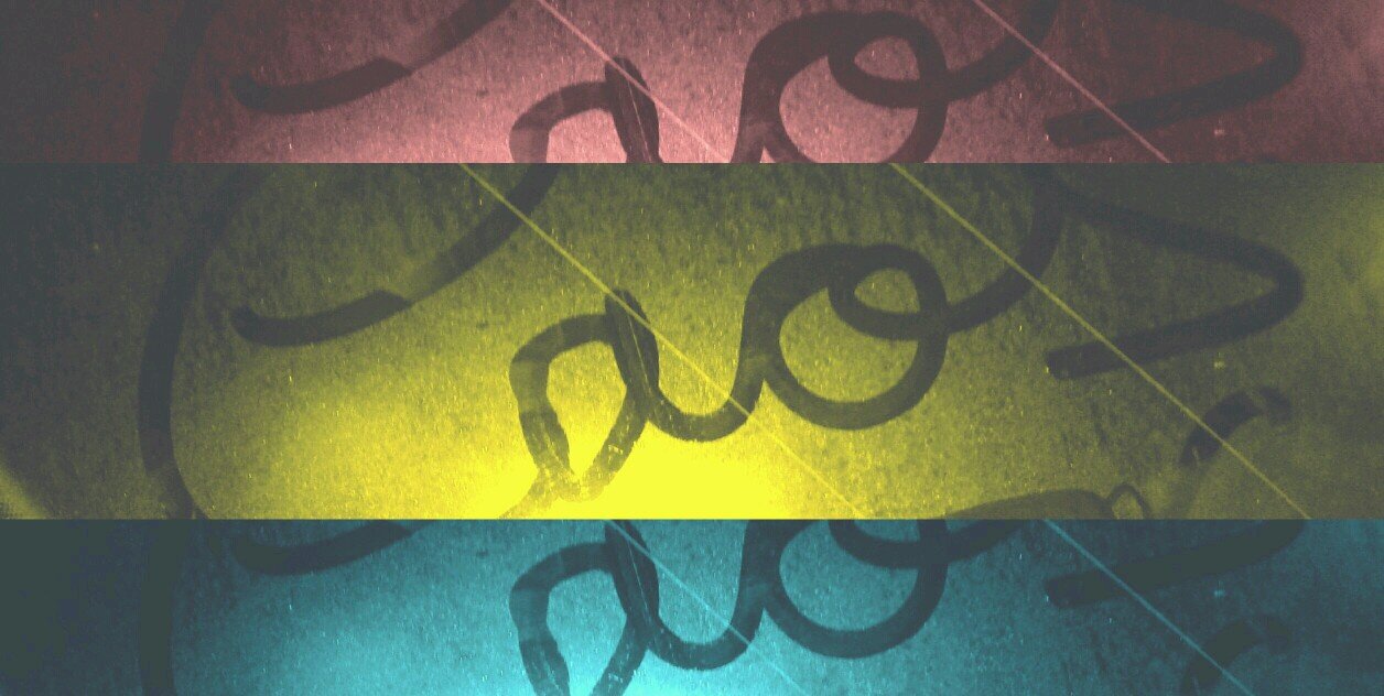 miauu0203's profile banner image