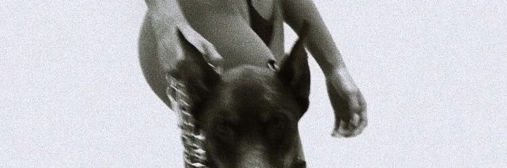 jayta banner