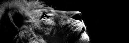 GabrielCarniel's profile banner image