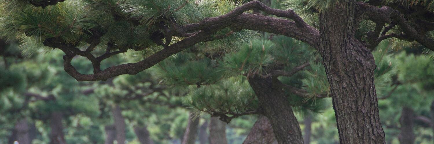 thimai's profile banner image
