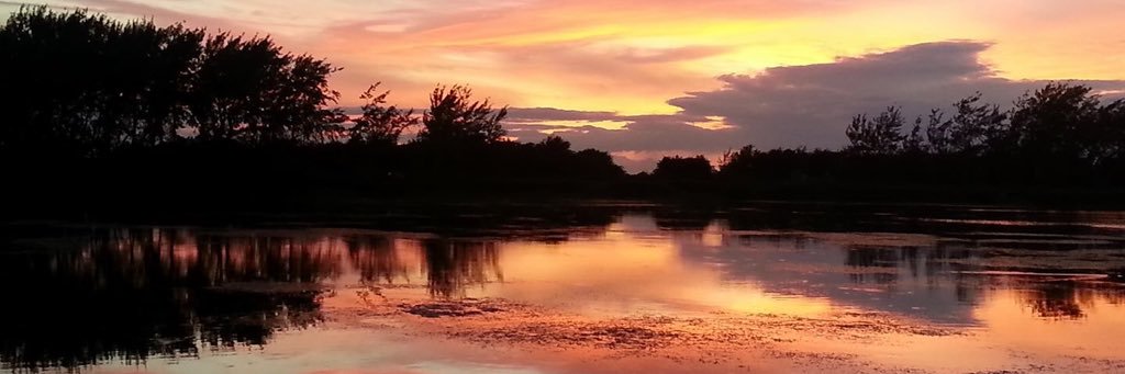HDAAfishing's profile banner image
