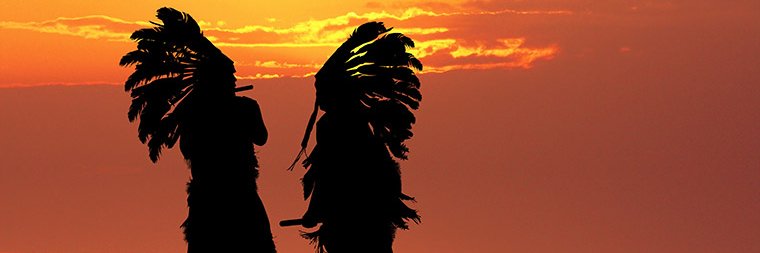 Native American Power🇺🇲 banner