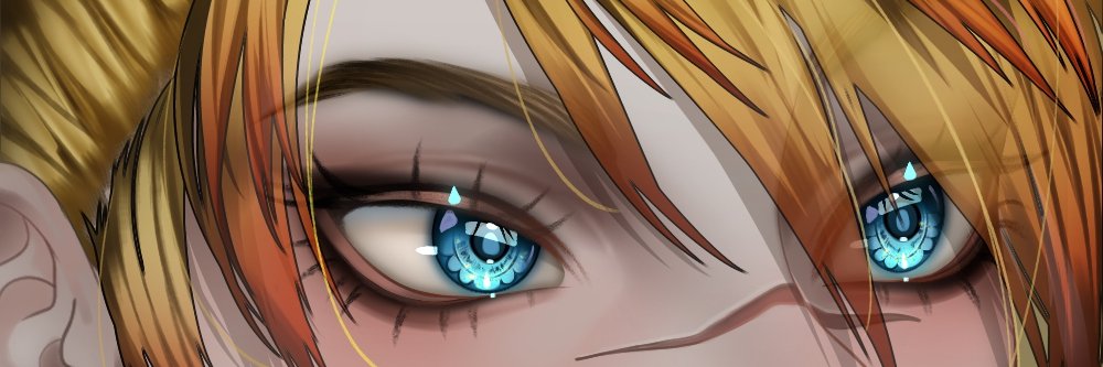 A Punchy Roe banner