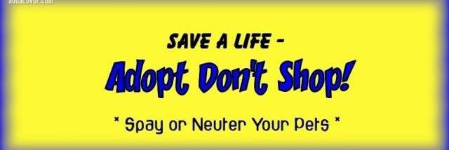 RIP #SapphieDog LuvU banner