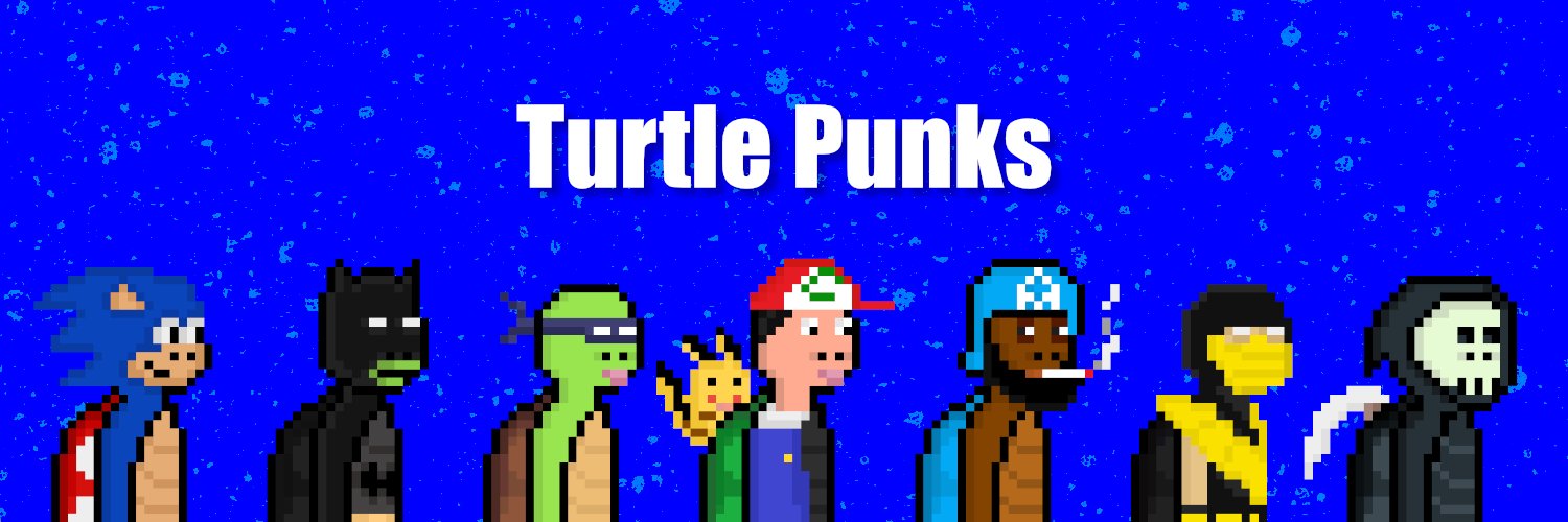 Turtle Punks banner