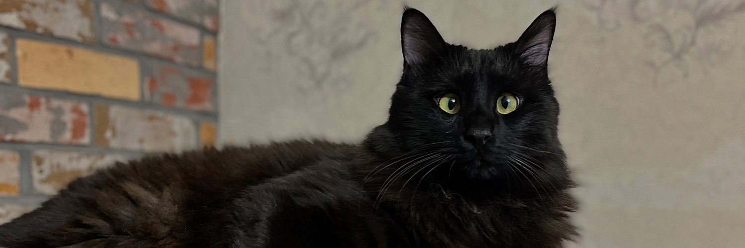 سینا banner