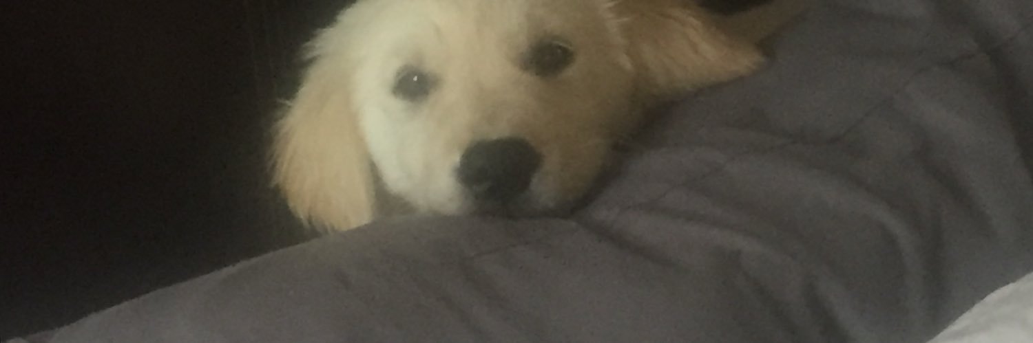 Rickkoerwer's profile banner image