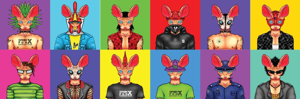 SphinxPunxRC's profile banner image