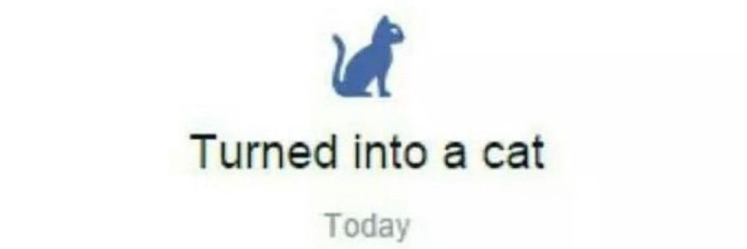 meimei has moved banner